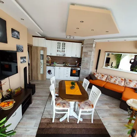 Luxury Apartment